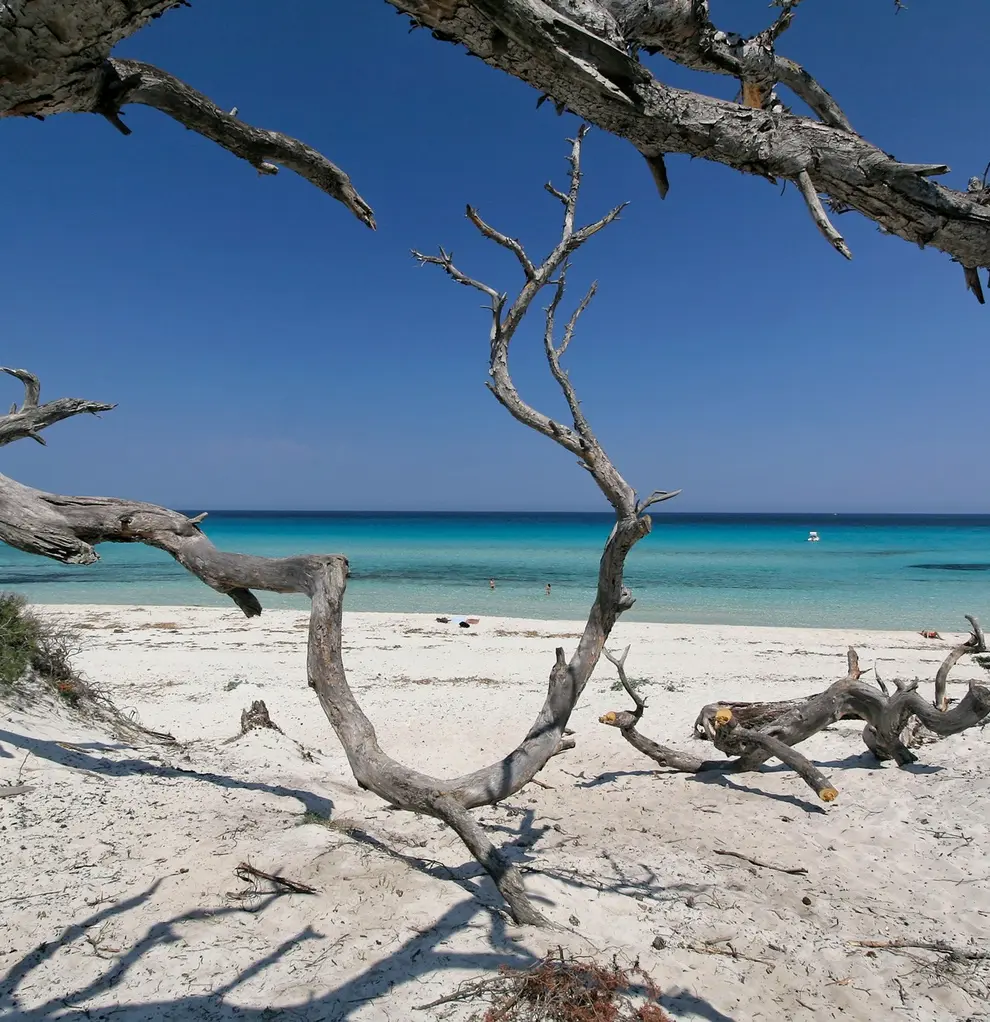 Plage de Saleccia